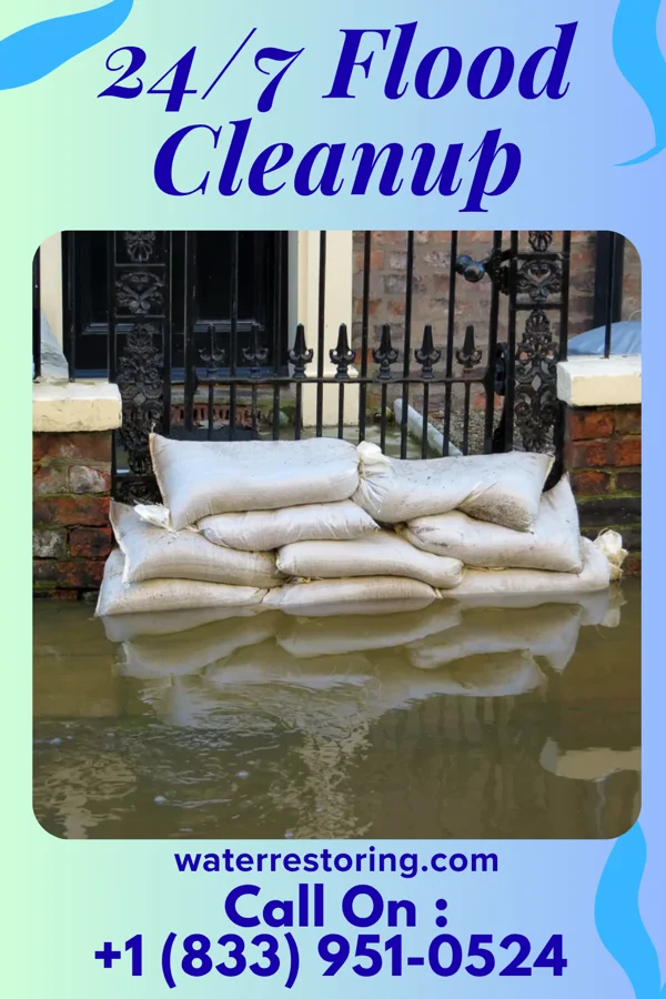 24/7 Flood Cleanup in Ovid, MI
