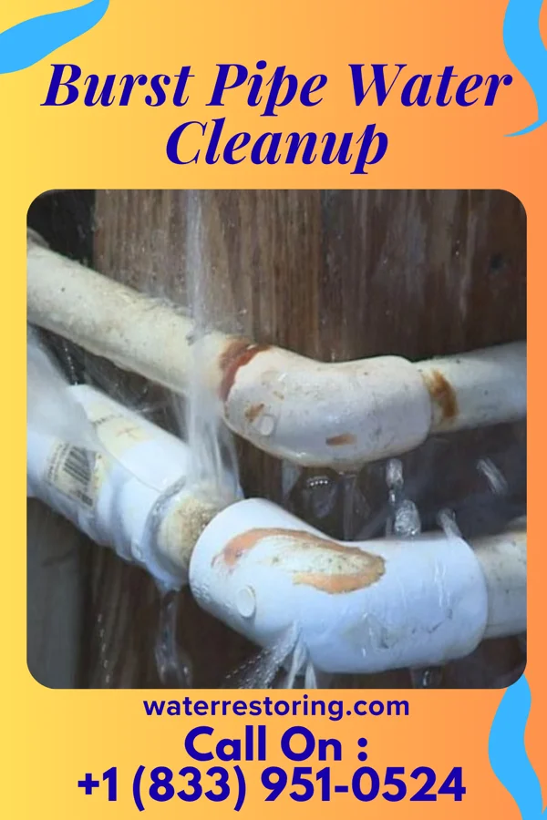 Burst Pipe Water Cleanup in Ovid, MI