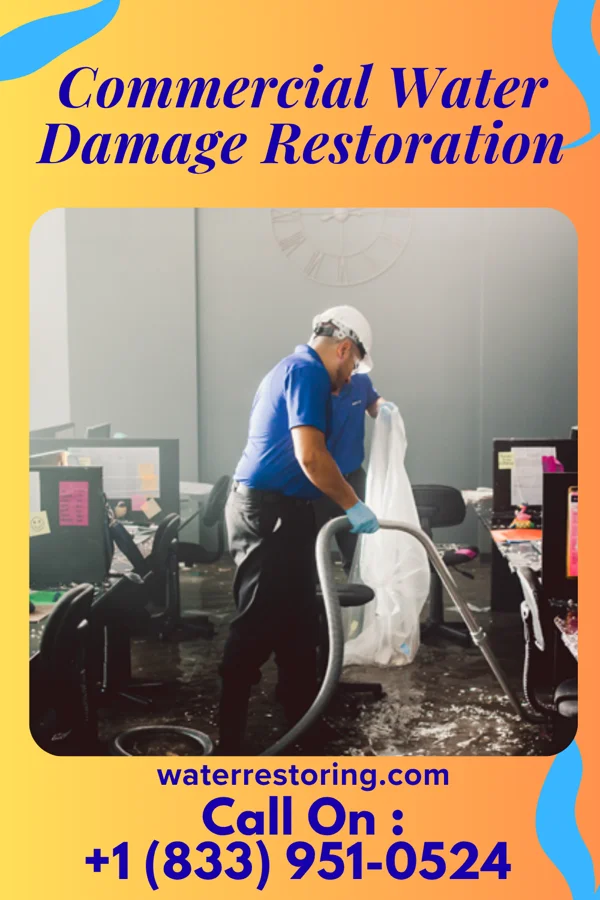 Commercial Water Damage Restoration in Ovid, MI