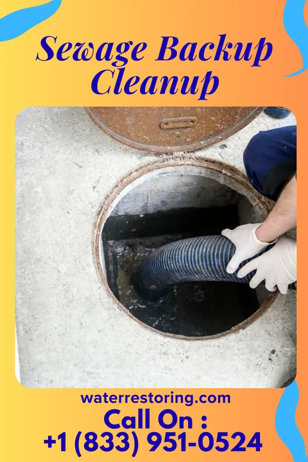 Sewage Backup Cleanup in Ovid, MI